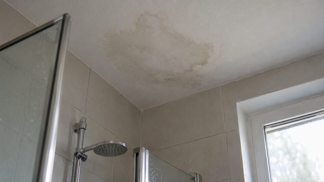 Feuchtigkeitsfleck oberhalb der Dusche im Badezimmer